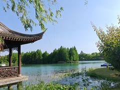 -尚湖风景区
