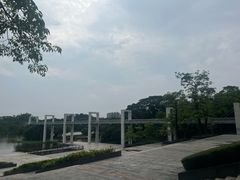 -东莞植物园