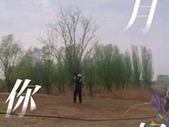 -马家湾湿地公园