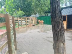 -北京海德酒店温泉