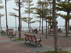 -深圳湾公园-停车场