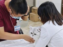 -美联众合动物医院·24h转诊中心