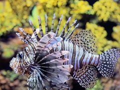 -上海海洋水族馆