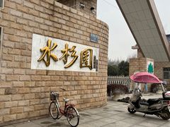 -水杉园