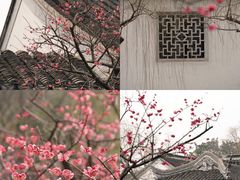 -苏州上方山国家森林公园