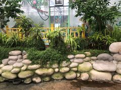 -南宫五洲植物乐园
