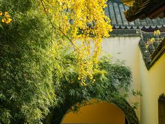 -西园戒幢律寺