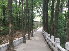 -灵岩山风景区
