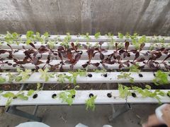 -杨柳青园艺科技博览园