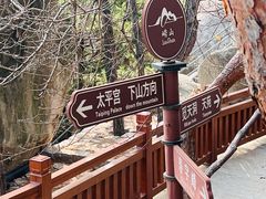 -崂山仰口游览区