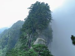 -内乡宝天曼生态旅游区