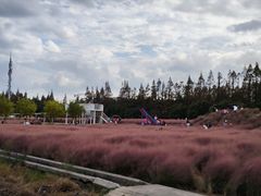 -嘉北郊野公园