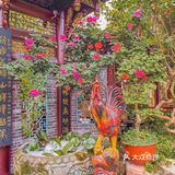 青城山美食打卡｜不能错过的平价老店❗️