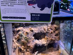 -正佳雨林生态植物园