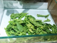 -许小树(国贸商城店)