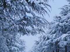 -ChanDu躔度咖啡(灯塔店)