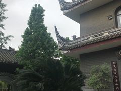 -生宇山珍野生菌汤锅•始于1999(双流古塔店)