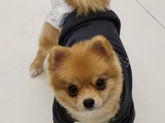 -怪兽屋·羊驼·猫咖·狗咖(俊华广场店)