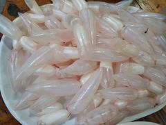 鱼泡-章记正宗南岗鱼蛋火锅