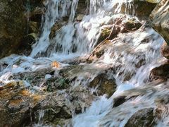 -北仑森林植物园