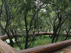 -西湖风景区-江洋畈生态公园