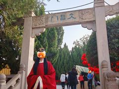 -中国翰园碑林