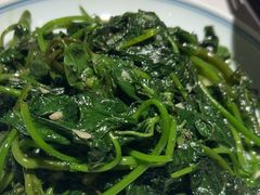 -大榕树下顺德菜(融创茂店)
