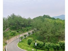 -鸡鸣山公园
