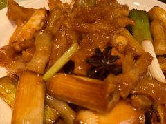 -金春禧(英雄山路旗舰店)