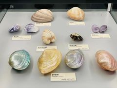 -天津古林古海岸遗迹博物馆