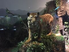 -陕西自然博物馆