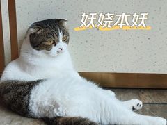 -1号足道推拿会馆