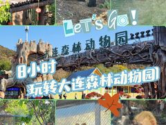 -大连森林动物园