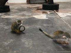 -西安秦岭野生动物园