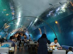 -海棠湾洲际-涛·海底餐厅·美人鱼·自助餐·海底隧道