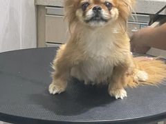 -宠颐生动物医院·小陆分院