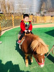 -萌宠亲子动物乐园(槐房万达店)