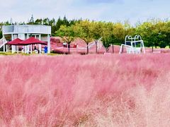 -嘉北郊野公园
