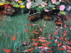 -北戴河圣蓝海洋公园