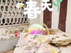 -团结湖公园
