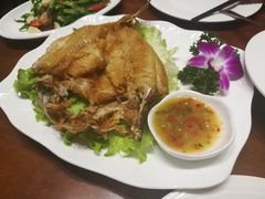 -荷花泰菜(东方新天地店)
