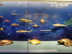 -上海中国航海博物馆