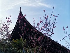 -长谷洞天