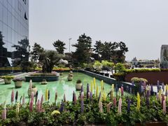 -南通洲际绿博园