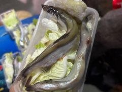 -多彩贵州城极地海洋世界