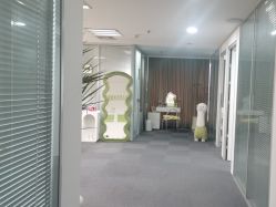 -凡碧诗毛孔清洁收细