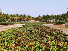 门面-东海岛旅游度假区