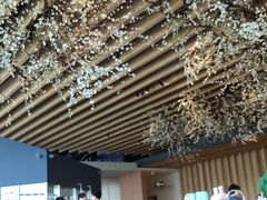 大堂-Seesaw Coffee(朝阳大悦城店)