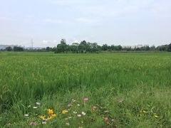 -蜀绣公园