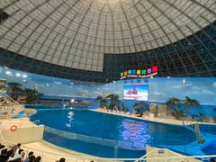 -泉城欧乐堡海洋极地世界